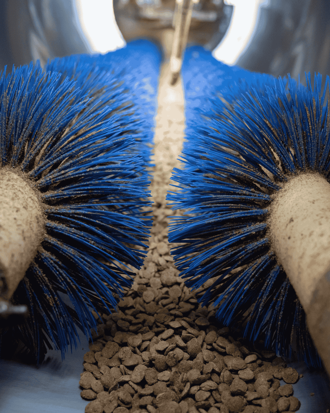 Démarche qualité Pyrénées Canin