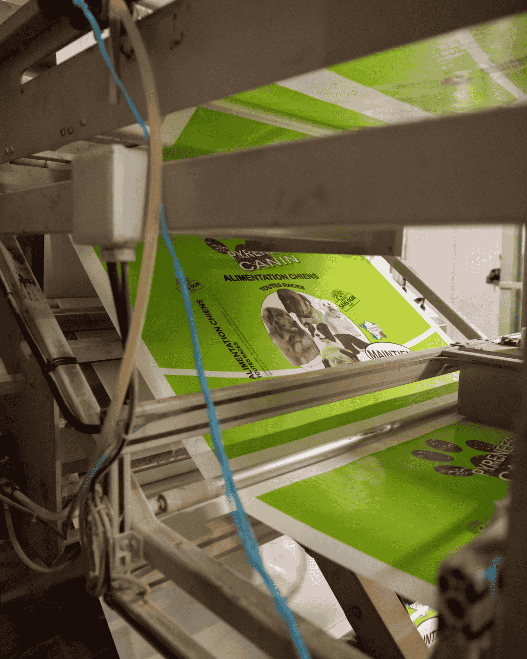 Usine Pyrénées Canin