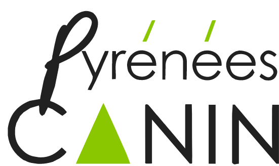 Pyrénées Canin